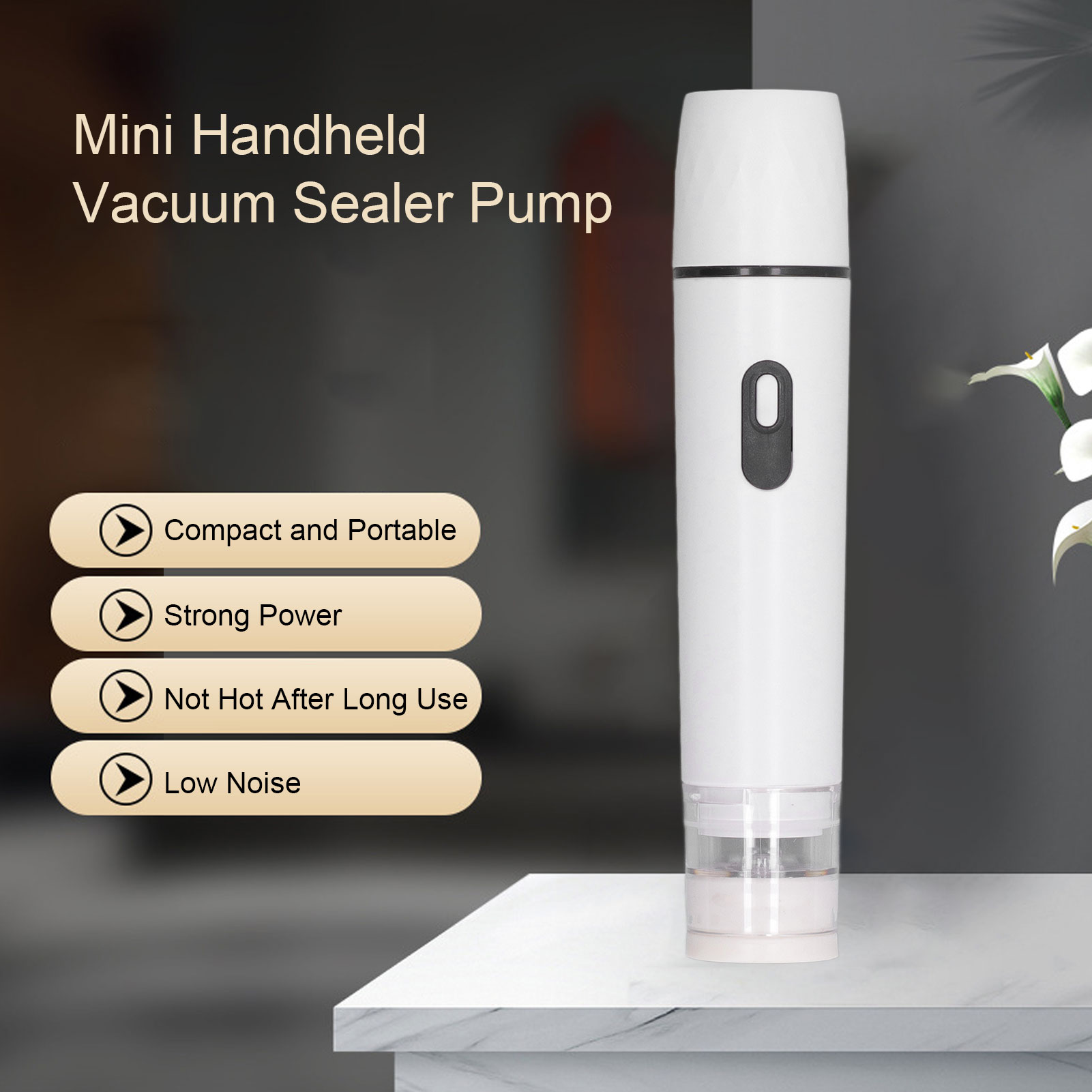 Electric Air Pump Handheld Vac - Food Storage Machine recension och pris