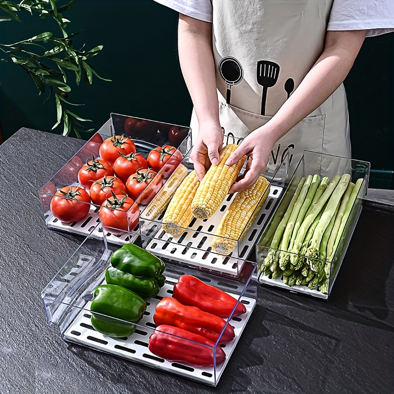 1pcKitchen refrigerator storag - Herb Keeper Container recension och pris