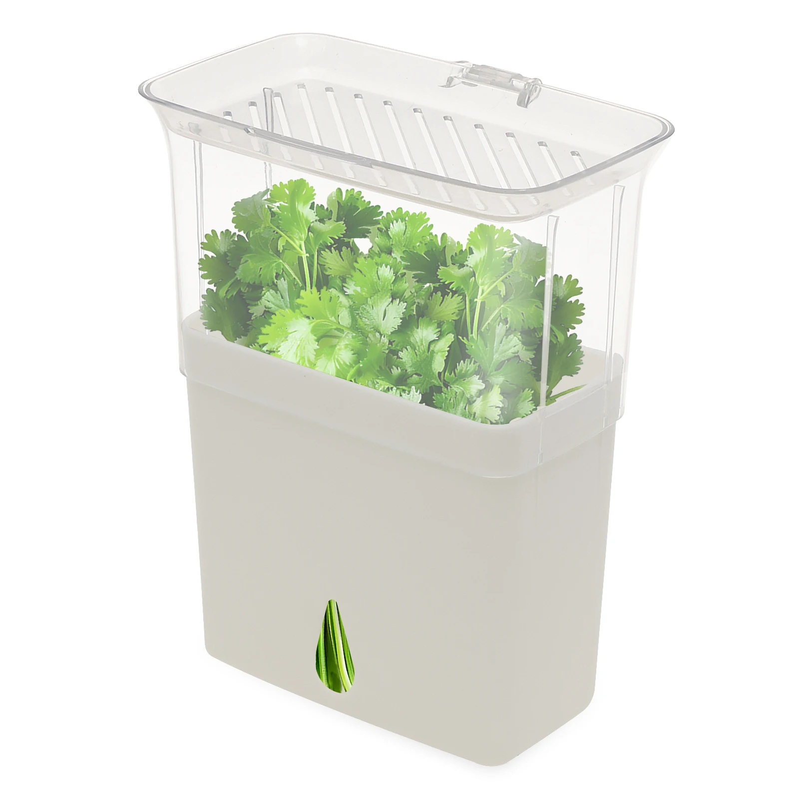 Clear Herb Saver Storage Conta - Herb Keeper Container recension och pris